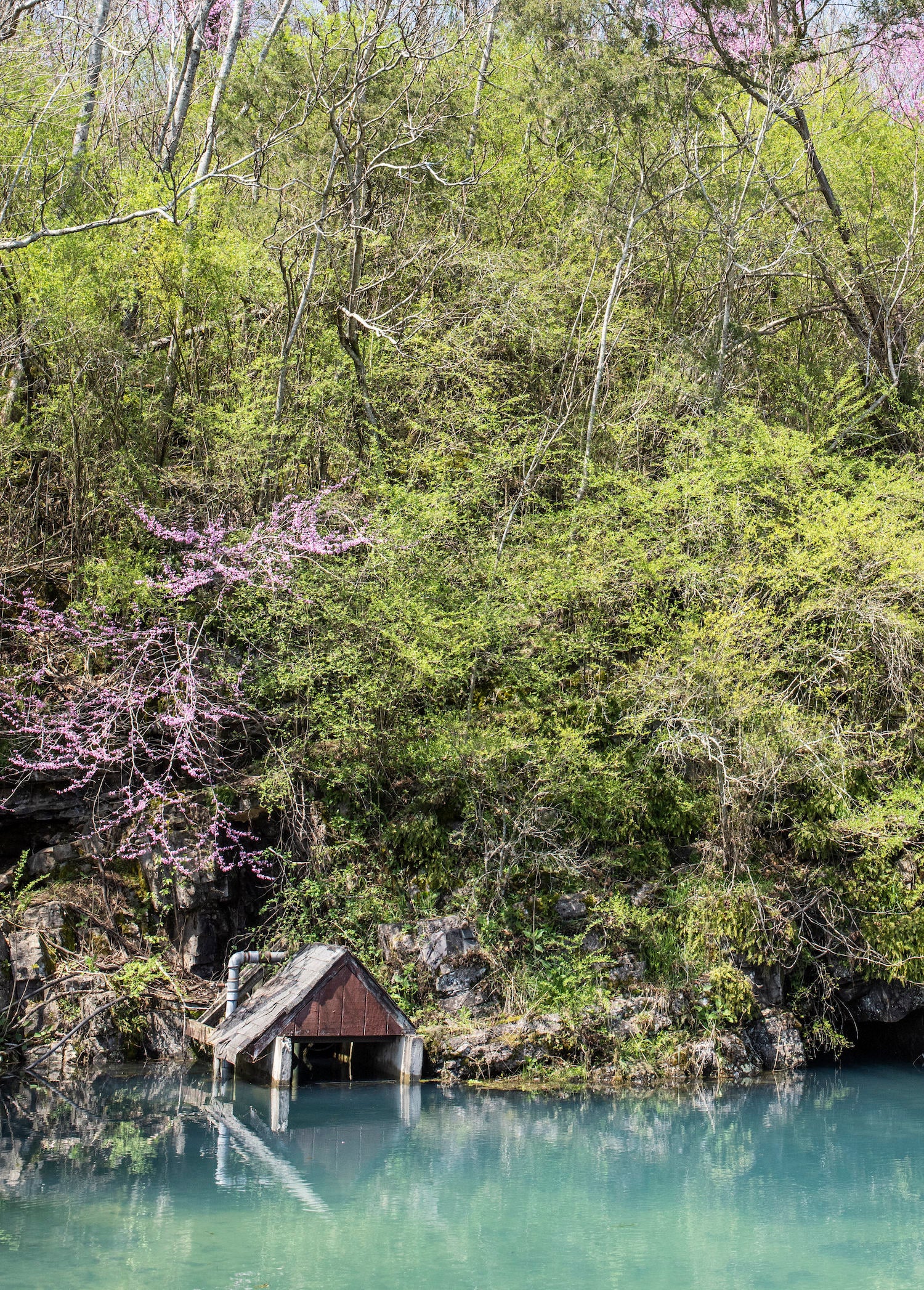 Premium Naturally Akaline Spring Water - Nature's Big Spring Water