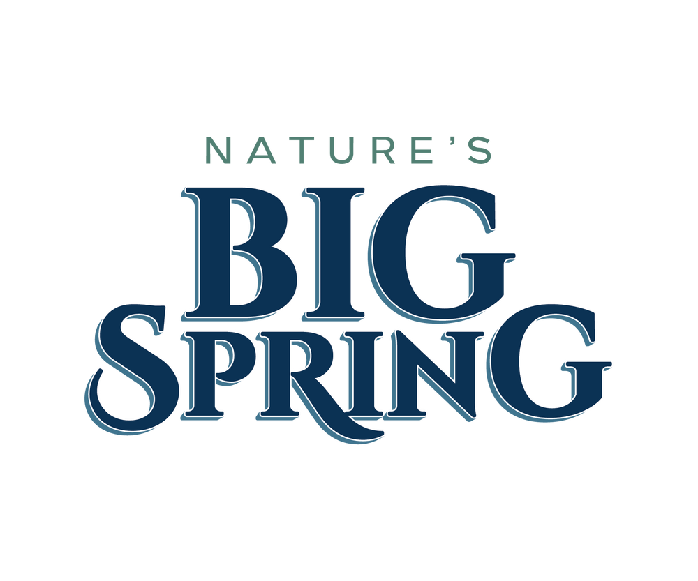 Nature's Big Spring Logo