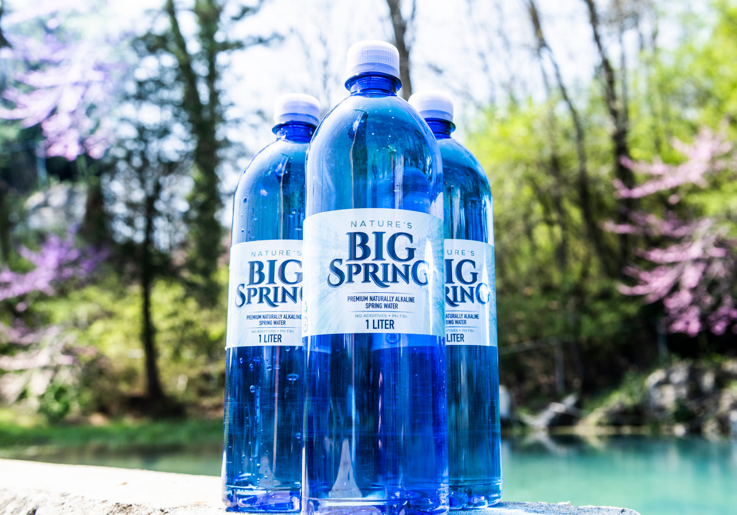 Premium Naturally Akaline Spring Water - Nature's Big Spring Water