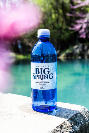 16.9oz Spring Water (24pk) – Nature's Big Spring Water